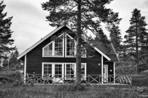 cabin in woods