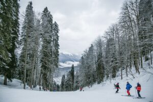 skiers on snowy slope