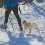 man snowshoeing with dog